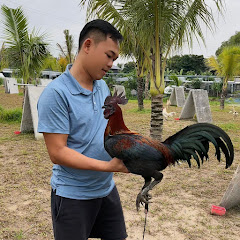 Channel thumbnail for Trại Gà Duyên Ti