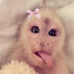 TgFYyJEf6i8-channel-avatar-Ho Swag