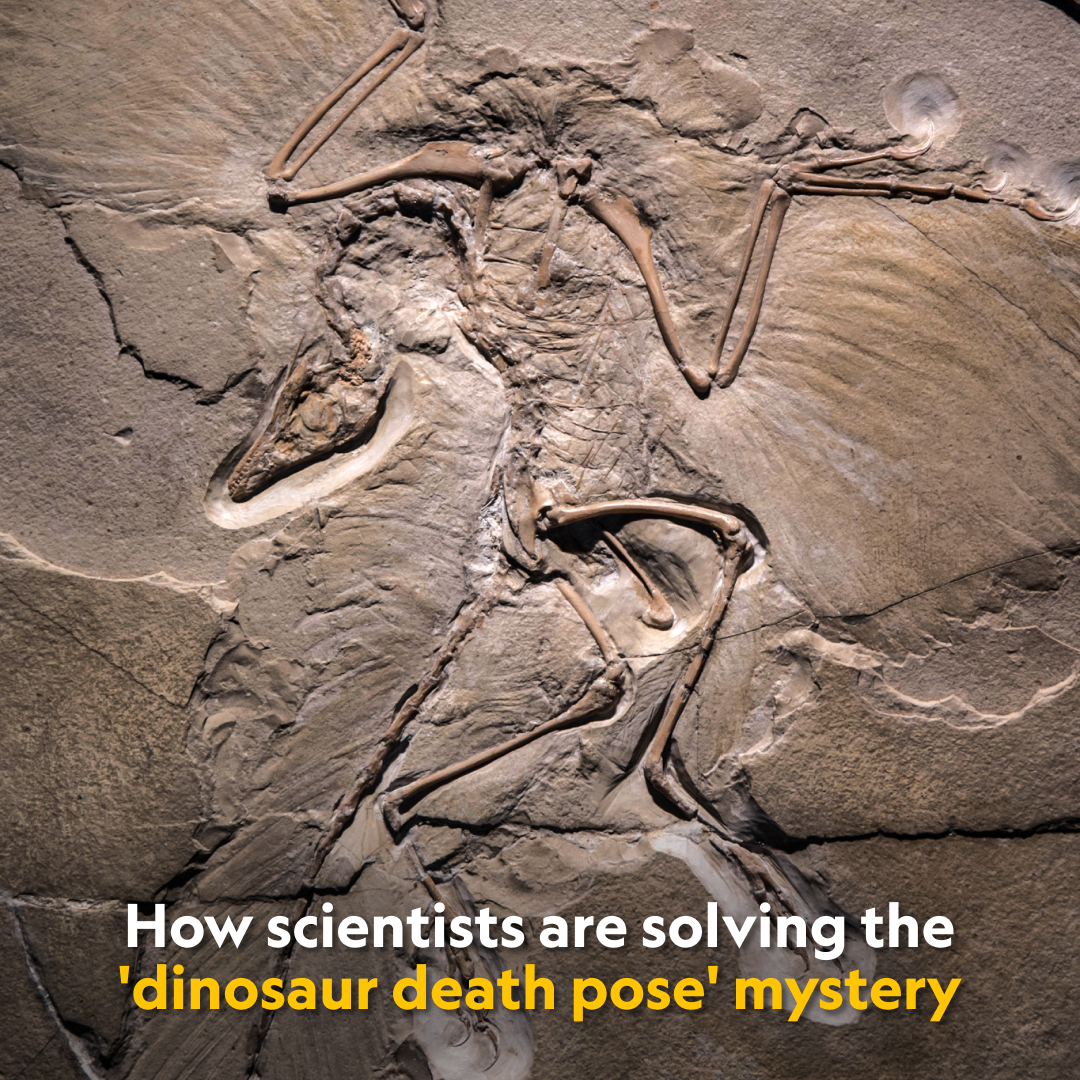 Post from National Geographic