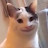@rogueing's avatar