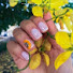 vpDdrjd_mBo-channel-avatar-SuhArtes Nails 