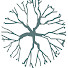 9_niQnep3Og-channel-avatar-New Wood Trees  - Artisan Tree nursery in Devon