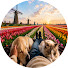 7o1_BAyY0Yc-channel-avatar-Healing Dogs & Cats