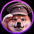 Cr_YrxKMRaM-channel-avatar-General Shiba