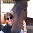 GDqmGbMjB_s-channel-avatar-This Horse.