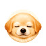 Do66k7UY3OY-channel-avatar-Sleepy Paws
