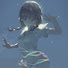 NPvnxv02veg-channel-avatar-Dii Nii