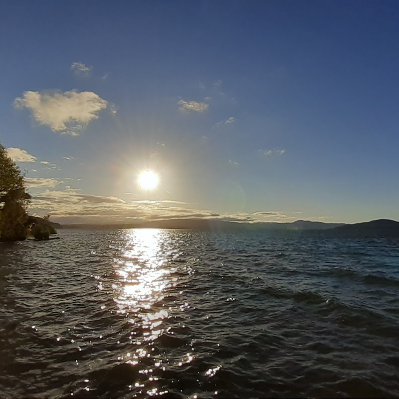 Sun tv NZ