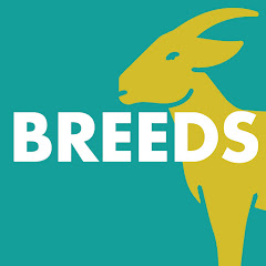 Rizq Breeds