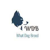 What Dog Breed | What Dog Is That