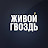 Живой Гвоздь
