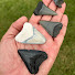 o-VhlIviR14-channel-avatar-Fossil Squad