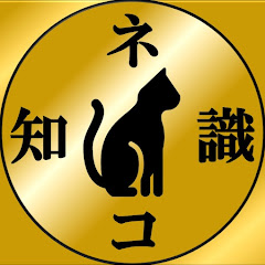 ネコ知識ch【Neko Chishiki 】