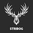 cDMFneS3hdw-channel-avatar-Stribog