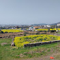 IT체국