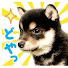 niiMp73mZDw-channel-avatar-순!!