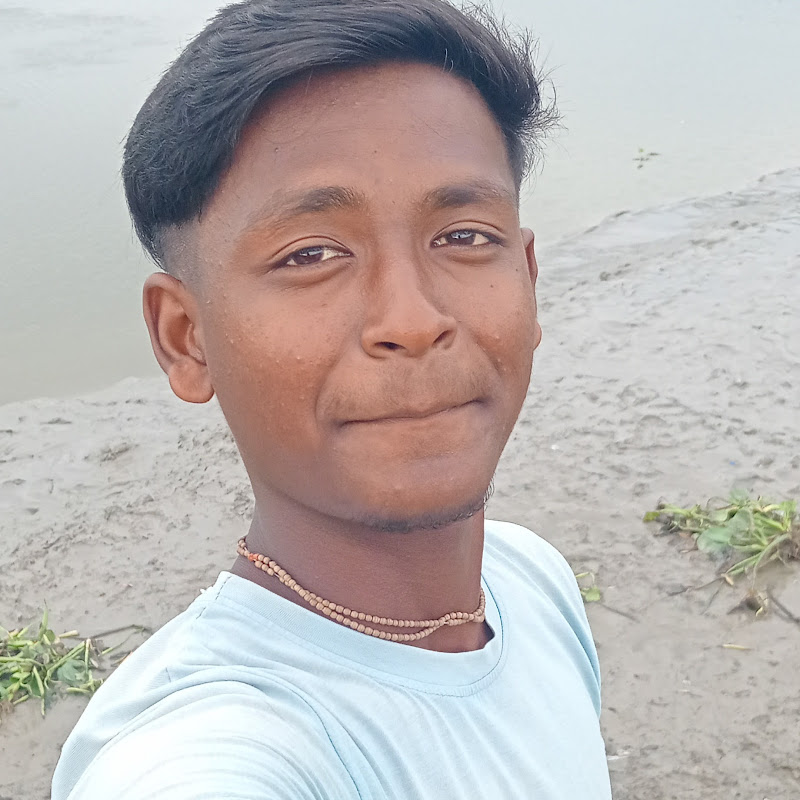 IB DIPU 702