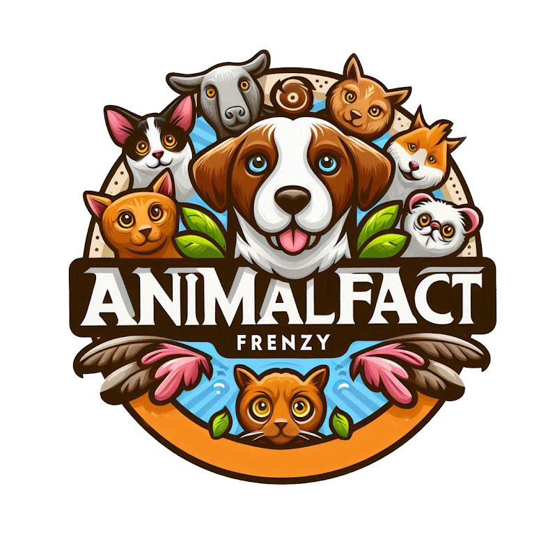 Animal Fact Frenzy