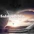 qBQuEW7kWVs-channel-avatar-SalmosBiblia