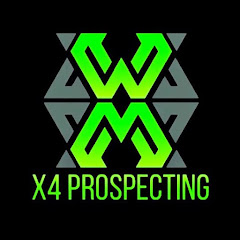 X4PROSPECTING avatar