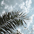 eDfJNlFPn_Q-channel-avatar-حسين عباس - Hussein abbas