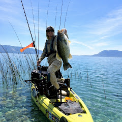 Lets Go Fishing