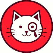 Catnalysis Daily