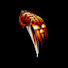 9_gkO_ZWHCE-channel-avatar-Anthony Horvath 