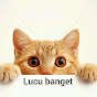 Meong Lucu TV