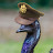 @TheEmuDan's avatar