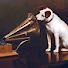 8NbK9NRzack-channel-avatar-His Masters Voice 