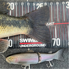 Miroku BIGBAITS SWIMBAITS in Southern California