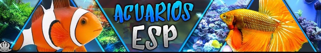 ACUARIOS ESP Avatar canale YouTube 