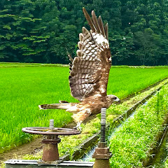 Snow Country Agriculture