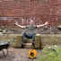 MmRN9DjoSaI-channel-avatar-NoviceGardener