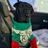 Автор