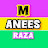 M. Anees Raza