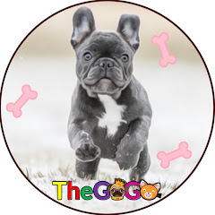 The GoGo avatar