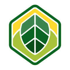 Thumbnail of related channel