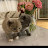 @muratozturk8723