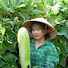 WLs3XXGVlDY-channel-avatar-Green Nature Harvest