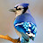 Berry Bluebird