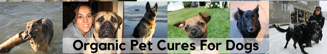 Organic Pet Cures YouTube channel avatar