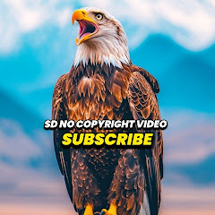 sd no copyright video 