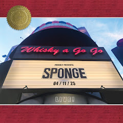 Sponge