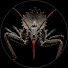 vKaE86eZc54-channel-avatar-Primal Roots