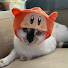 UvSd6bYhkH4-channel-avatar-KirbyStarAnimation
