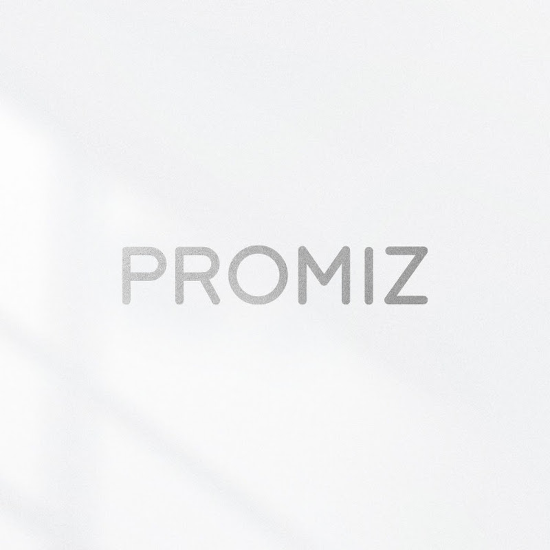 PROMIZ PMZ