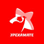 Jpexamate logo