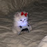 9ZoURJlh9vQ-channel-avatar-Rizu.